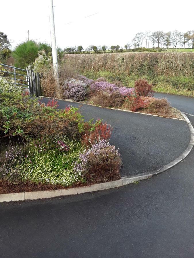 Bed and Breakfast Y Grange Llanfihangel-y-Creuddyn Esterno foto